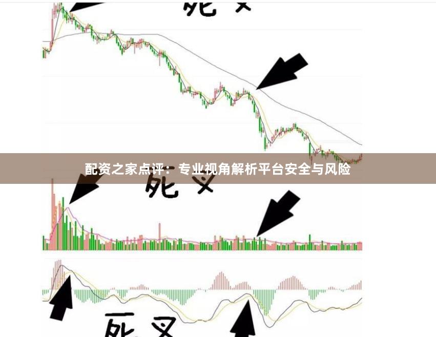 配资之家点评：专业视角解析平台安全与风险
