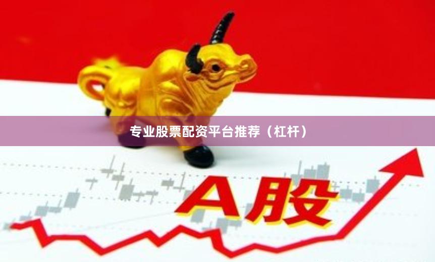 专业股票配资平台推荐（杠杆）