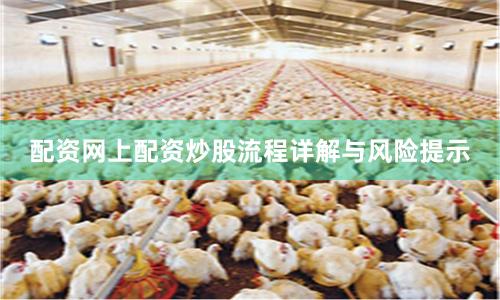 配资网上配资炒股流程详解与风险提示